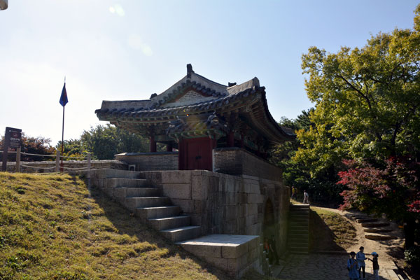 金井山と金井山城