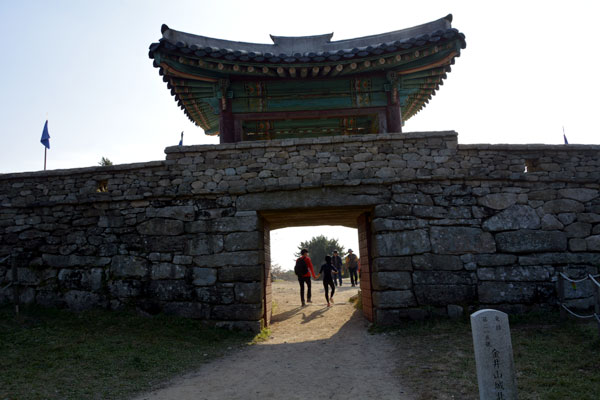 金井山と金井山城