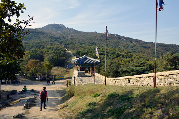 金井山と金井山城