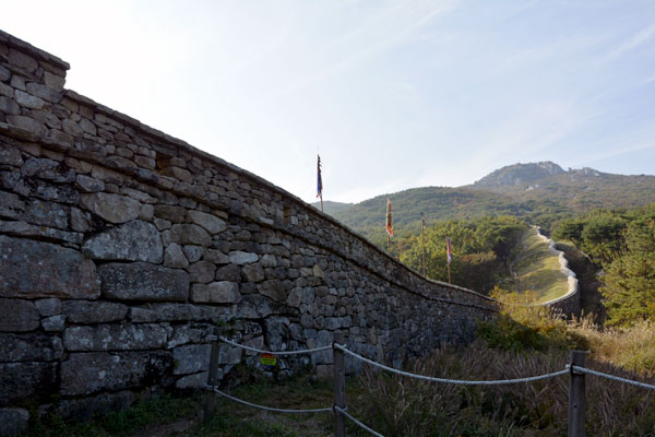 金井山と金井山城