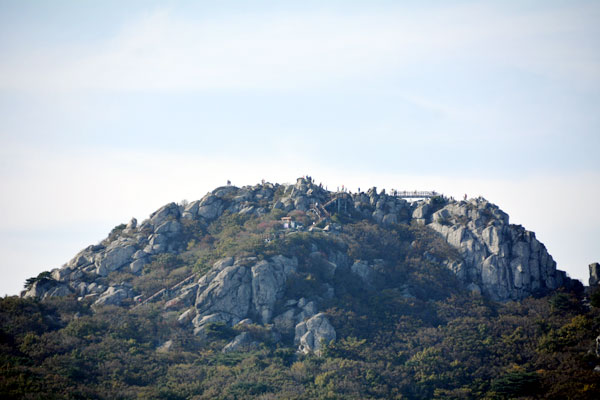 金井山と金井山城