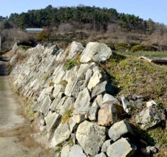 西生浦倭城の登り石垣