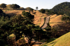 高霊池山洞古墳群