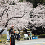 鎮海軍港祭