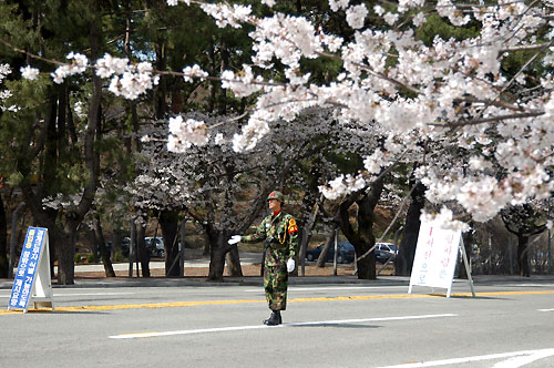 鎮海軍港祭