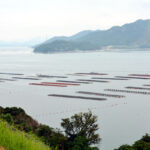 淸海鎮張保皐遺跡地