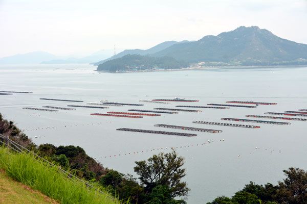 淸海鎮張保皐遺跡地