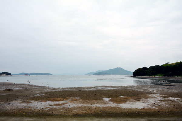 淸海鎮張保皐遺跡地