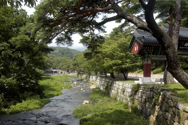 通度寺の自然風景