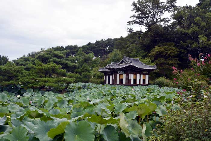 江陵 船橋荘