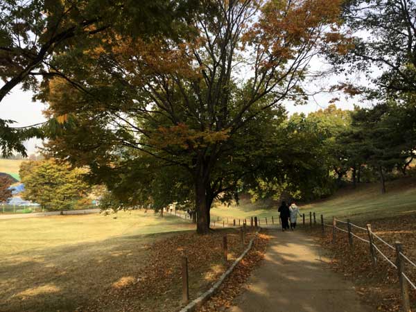 夢村土城