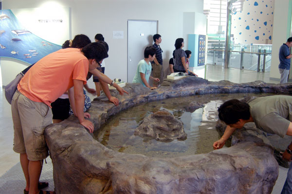 国立海洋博物館