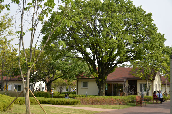 釜山市民公園