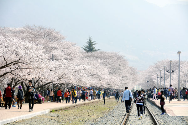 慶和駅