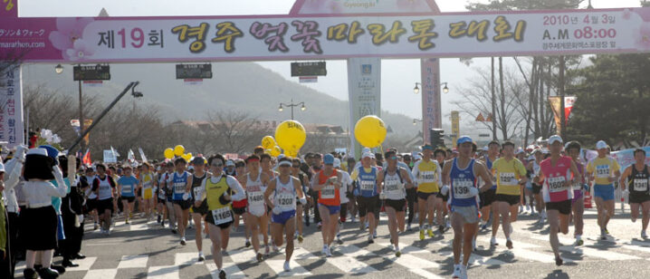 慶州桜マラソン大会