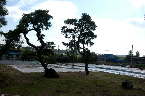 益山 帝釈寺址