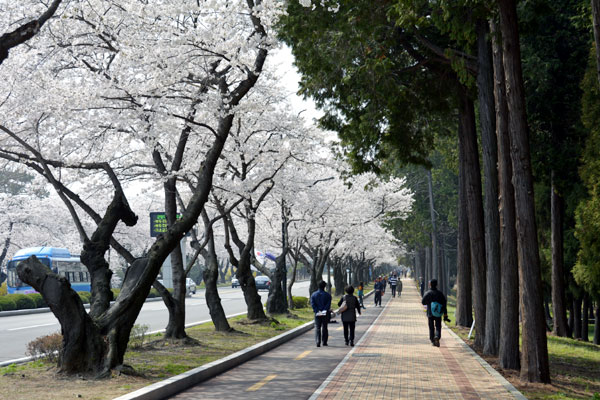 鎭海海軍司令部