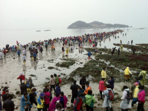 珍島海割れ祭り