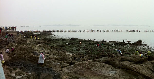 珍島海割れ祭り