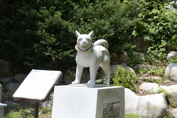 骨窟寺