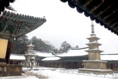 2018 世界遺産慶州仏国寺の雪