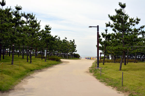 多大浦海水浴場