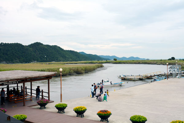 順天湾湿地