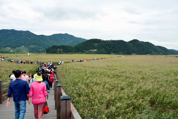 順天湾湿地