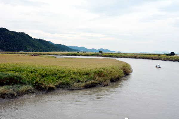 順天湾湿地