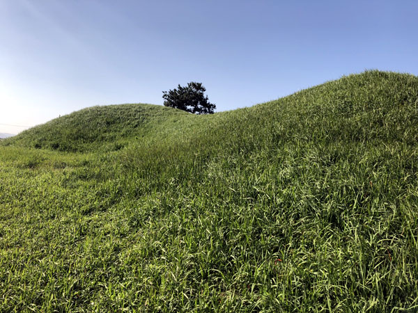 咸平禮德里新德古墳群