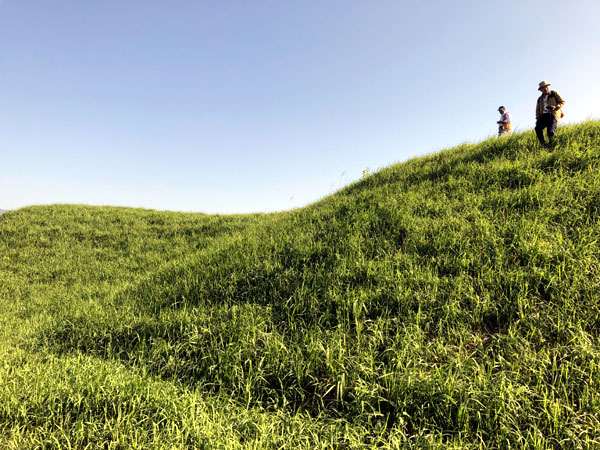 咸平禮德里新德古墳群